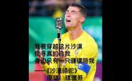 包含莱比锡场边指挥情绪激动，C罗队员怒摔水瓶的词条