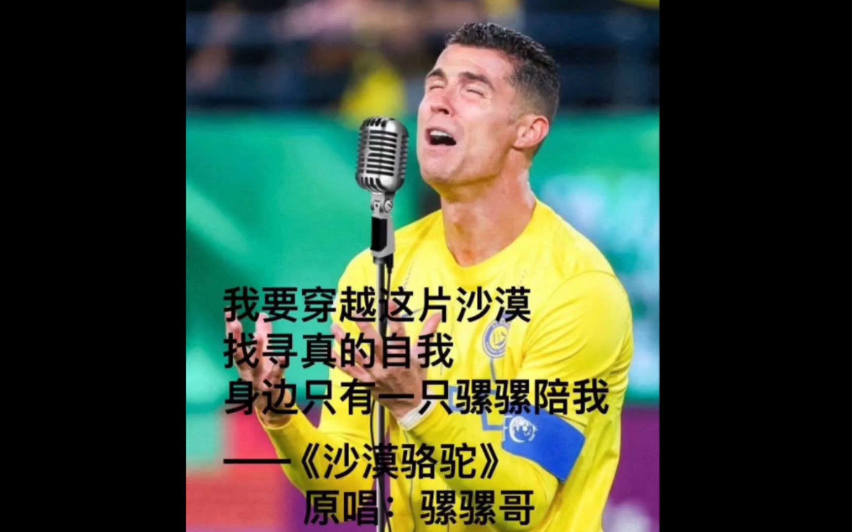 包含莱比锡场边指挥情绪激动，C罗队员怒摔水瓶的词条